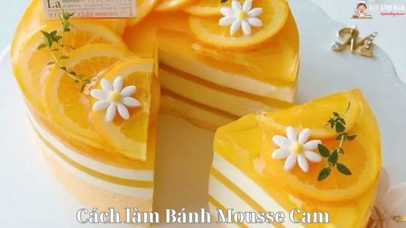 Cách làm bánh Mousse Cam